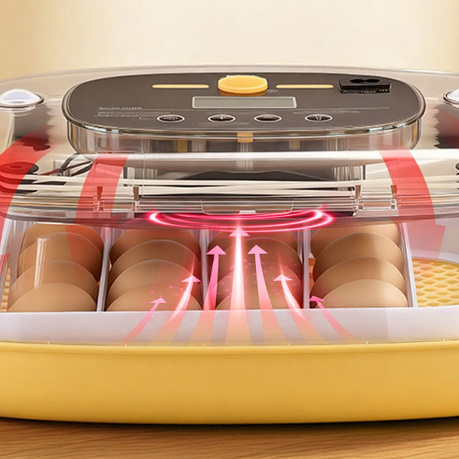 Egg Incubator 24 Eggs Automatic Turner with LED Candler for Hatching Chicks Ducks Quail