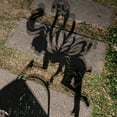 thumbnail image 3 of Luz de jardín de ducha de hierro forjado con hervidor de hierro forjado con energía solar, 36 luces cálidas LED, 80 cm de altura, lámpara decorativa para exteriores para patio, patio, patio, carga, 3 of 7