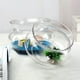 thumbnail image 4 of 2 pecera transparente de vidrio para peces de colores, pecera simple para plantas hidropónicas, 4 of 6