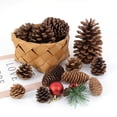 thumbnail image 5 of 1-10 piezas de piñones naturales, frutas secas, flores artificiales, piñas para Navidad, guirnalda de bricolaje, decoración de fiesta de Feliz Navidad, 5 of 5