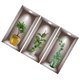 thumbnail image 2 of 1 Set Fake Window Potted Plant Wall Sticker Self Adhesive Wall Decal Bedroom Wall Stickers, 2 of 4