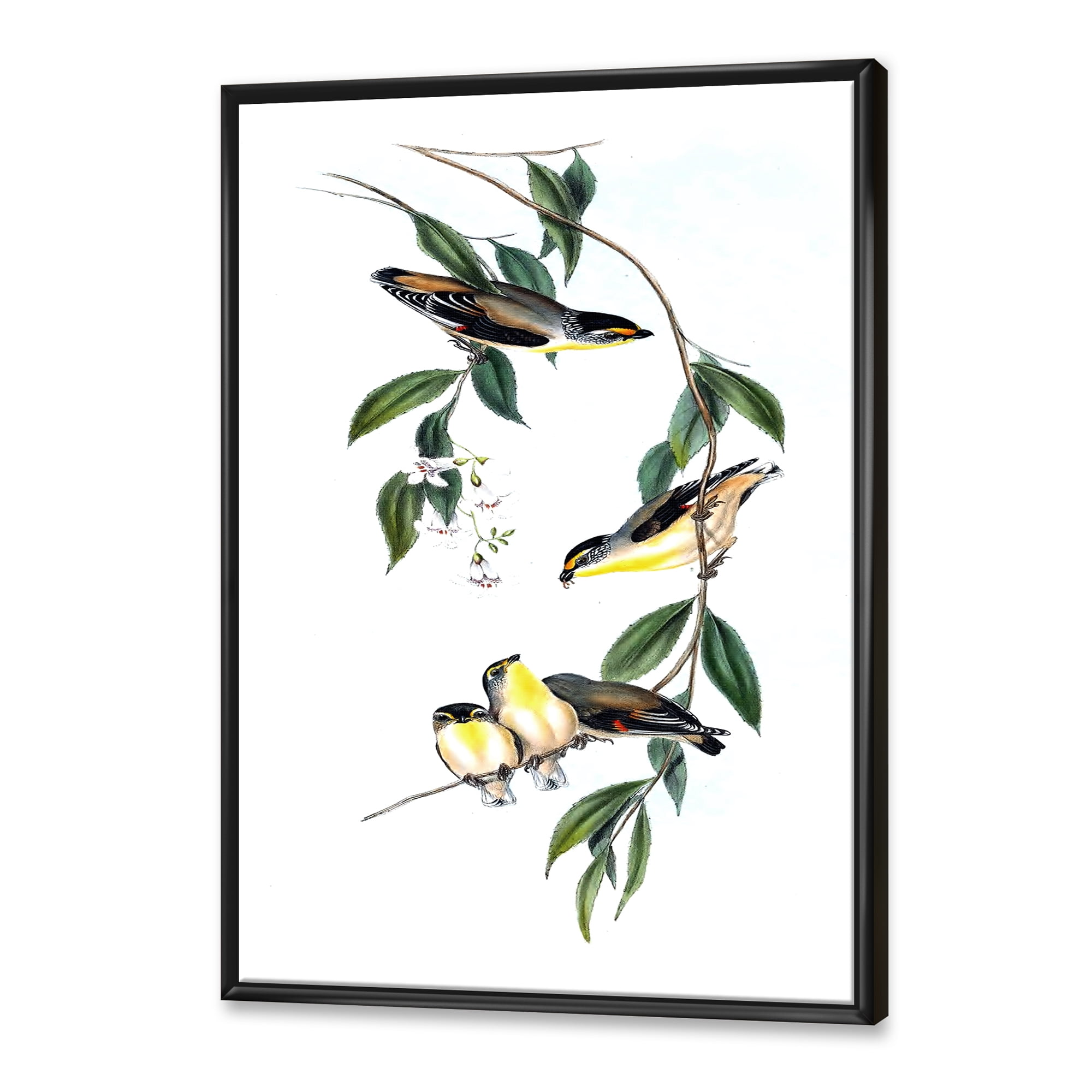 Designart 'Ancient Bird III' Traditional Framed Canvas Wall Art Print