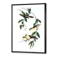 thumbnail image 3 of Ancient Bird III 30 in x 40 in Framed Painting Canvas Art Print, by Designart, 3 of 5