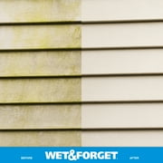Wet & Forget Outdoor Moss, Mold, Mildew, and Algae Stain Remover Concentrate, 128 oz