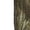 Mossy Oak Bottomland, variant on Mossy Oak Men's 6-Pocket Hunting Cargo Pants, Mossy Oak Bottomland, M