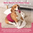 thumbnail image 4 of Kuoser Reusable Dog Diaper, Soft Belly Band with Abdominal Pocket for Male and Female Dogs, Washable Period Diaper for dog, 1 Pack, Rose-red, M, 4 of 8