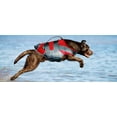 thumbnail image 2 of Helios Splash-Explore Outer Performance 3M Reflective and Adjustable Buoyant Dog Harness and Life Jacket, 2 of 3