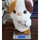 thumbnail image 5 of Peluche HUOGUO Electric Magic Sound Little Hamster Cat, 5 of 5