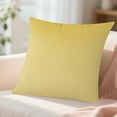 thumbnail image 5 of zhangmingg Decorative Velvet Throw Pillow Cover for Sofa Bed Couch Living Room Home Protector, 5 of 5