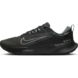 Nike Men's Pegasus 40 Running Shoes (Black/Black, 13, Medium/D