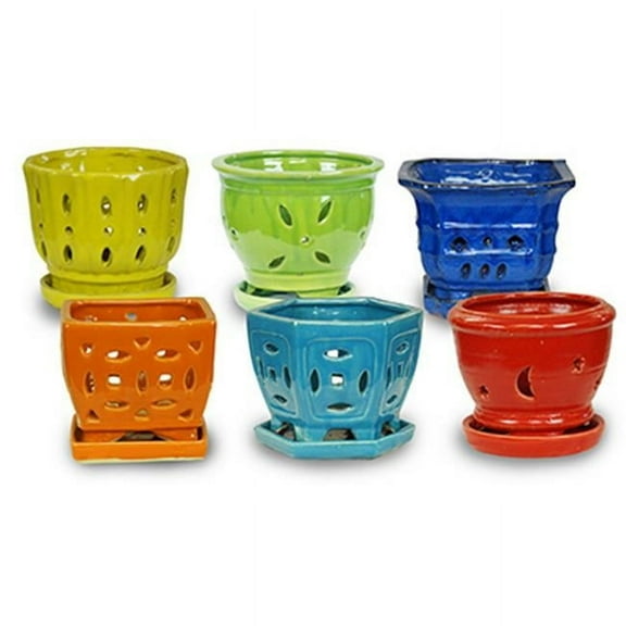 Ceramo 256605 5.5 in. Rainbow Orchid Pot, Pack of 12