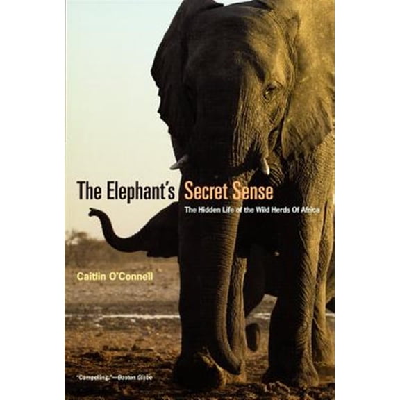 Pre-Owned The Elephant's Secret Sense: The Hidden Life of the Wild Herds of Africa (Paperback) 0226616746 9780226616742