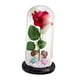 thumbnail image 4 of Regalos de rosas románticas con luz en cúpula de cristal para aniversario de mujer Besos de base negra, 4 of 9