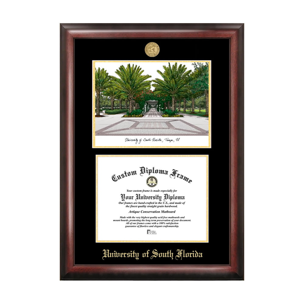 Campus Images University of Florida Gold embossed diploma frame lithograph 