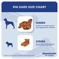 thumbnail image 5 of Downtown Pet Supply Pig Ears For Dogs - 6.5" Jumbo Dog Chew - 5 Pack, 5 of 8