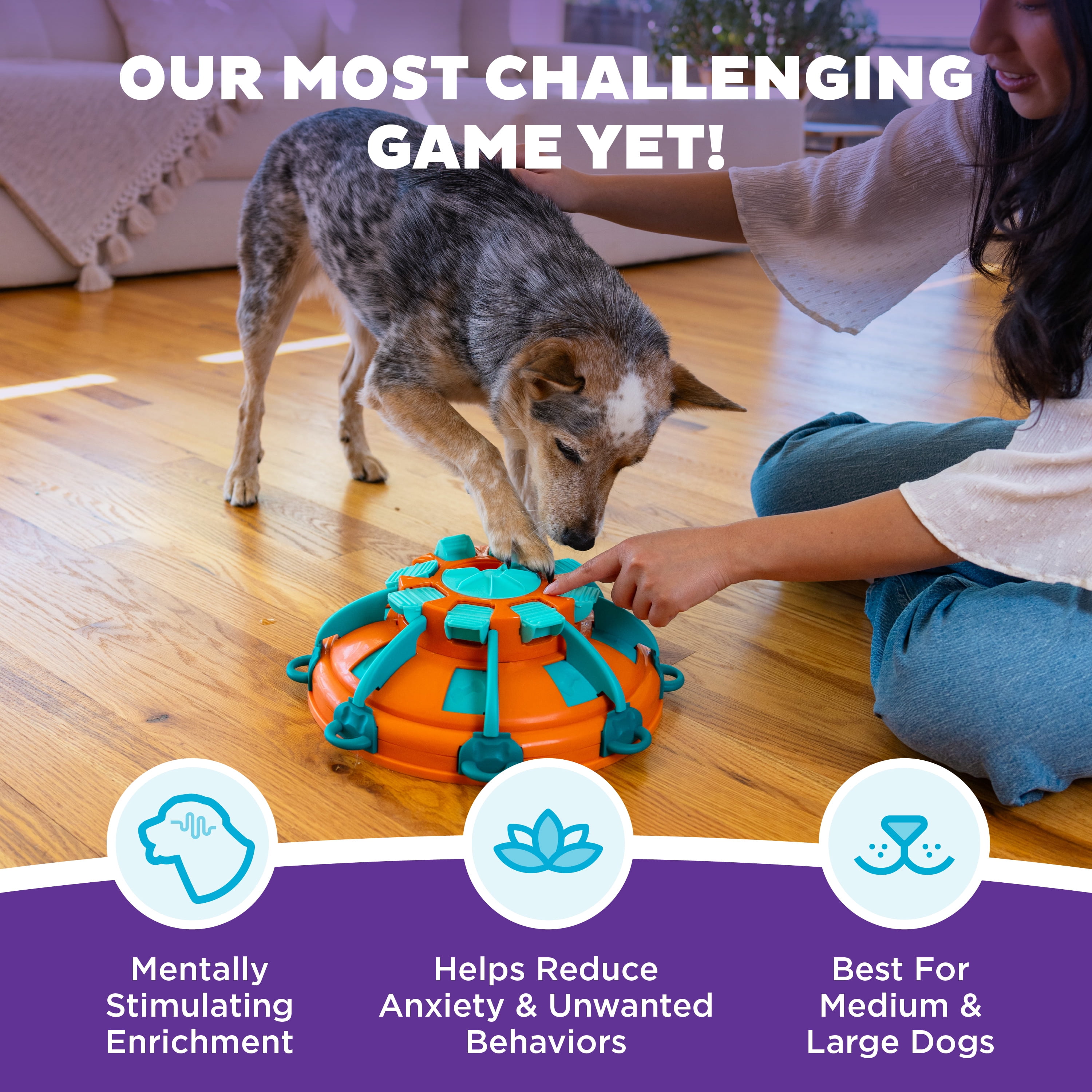 Outward Hound by Nina Ottosson Tower of Treats Level 4 Expert Dog