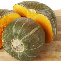 Burgess Buttercup Winter Squash Garden Seeds - 1 Oz - Non-GMO, Heirloom - Vegetable Gardening Seed