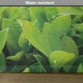 thumbnail image 5 of Ambesonne Plant Place Mats Set of 4, Macro Green Leaves, Standard Size, Apple Green, 5 of 5