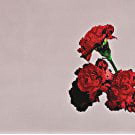 John Legend - Evolver - Music & Performance - CD - Walmart.com