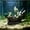 Multicolor, variant on Mysterious Underwater Pirate Shipwreck Aquascape Vintage Pirate Ship Fish Tank Decoration—Hiding Spot for Fish and Shrimp(B)