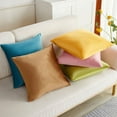 ERDOUY 2Pcs Simple sofa velvet pillow case Green printing, colorful