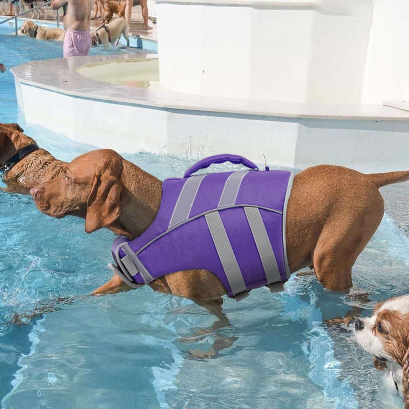 Kuoser Dog Life Jacket with Reflective Stripes, Adjustable Dog Life Vest, Purple, M