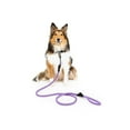 thumbnail image 2 of One Paw, Hiker Reflective Rope Dog Leash, Multiple Colors, 5 ft, 2 of 2