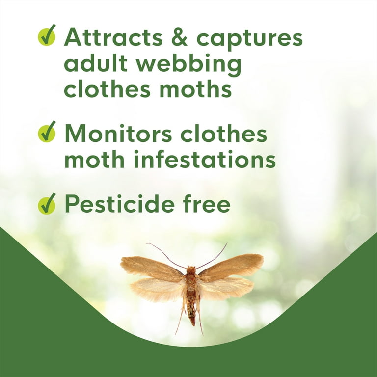 Clothes Moth Pheromone Trap (webbing Clothes Moth: 5 Pheromone Traps)