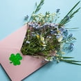 3.8cm Sticker 1 Roll /3 Rolls /5 Rolls Set Reflective Decorative ...