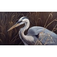 thumbnail image 2 of Goebel, Wilhelm 24x16 White Modern Wood Framed Museum Art Print Titled - Great Blue Heron, 2 of 4