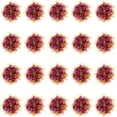 thumbnail image 1 of (rosa roja) Kit de porristas con flores elásticas para muñeca, pompones de alegría para adultos y niños (rosa roja), 1 of 3