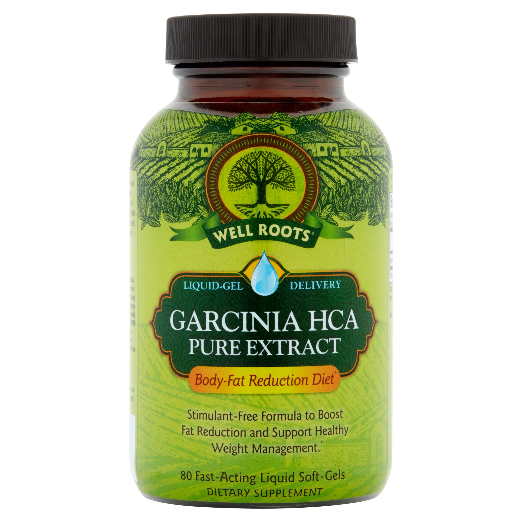 Well Roots Garcinia HCA Pure Extract Fat Blocker Weight Loss Fast-Acting Liquid Soft-Gels, 80 Ct.