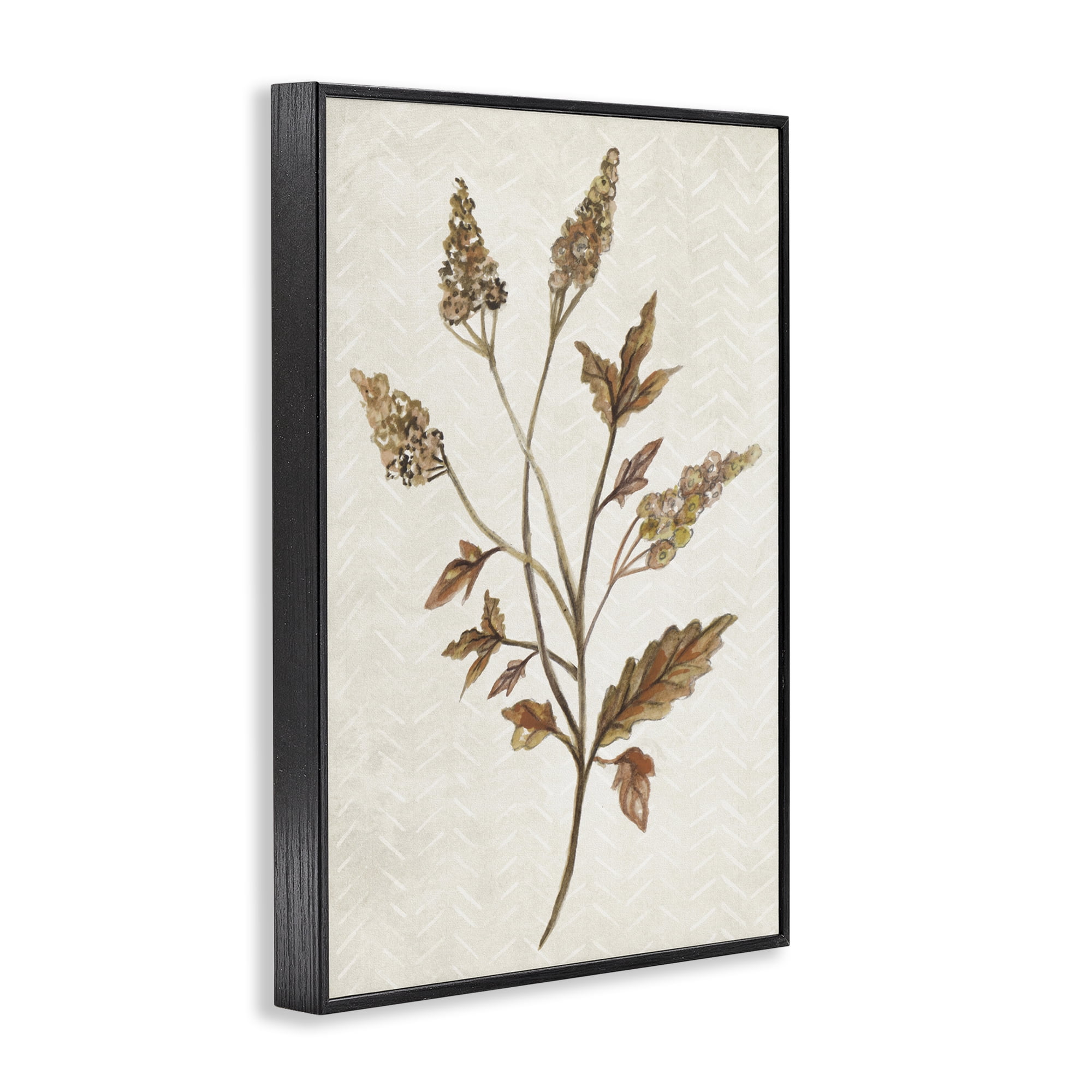 Stupell Industries Neutral Garden Botanics Botanical & Floral Painting Black Framed Art Print Wall Art, 20 x 30