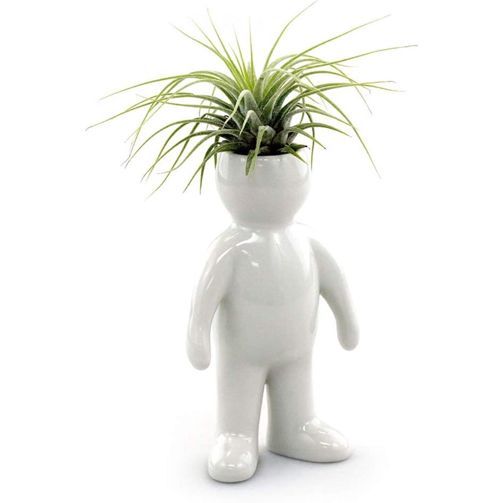 Ceramic Air Head Family People Planters Air Plant Holders Table Top