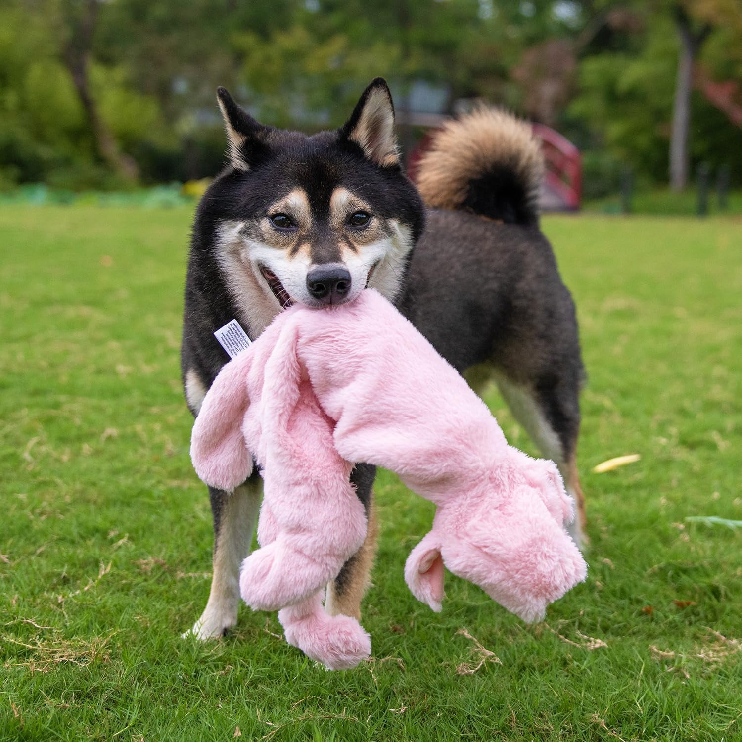 Best Pet Supplies 2-in-1 Fun Skin Stuffless Dog Squeaky Toy Pig & Wild Duck, Medium