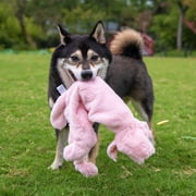 Best Pet Supplies 2-in-1 Fun Skin Stuffless Dog Squeaky Toy Pig & Wild Duck, Medium