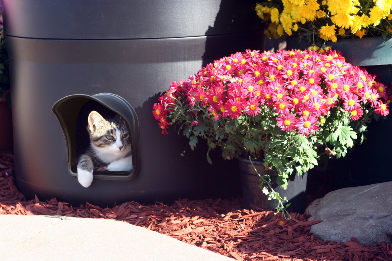 Kitty tube cat house hotsell
