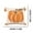 🔥 Orange_Base#2199, variant on Embroidered Pumpkin Cushion Cover | Canvas Throw Pillow Case | Soft Decorative Accent for Living Room Sofa | Autumn Fall Home Decor | Easy Care | 18x18 Inch | 1 Pack