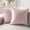 Light Pink, variant on Phantoscope Light Pink Throw Pillow Covers 2 Pack, 12" x 20" Velvet Decorative Pillow Cases with Pom Poms, Soft Square Cushion Covers for Couch Sofa Bed