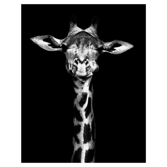 Masterpiece Art Gallery Standing Tall Giraffe by Belle Maison Canvas Art Print 22" x 28"
