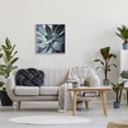 thumbnail image 2 of Stupell Industries Succulent Plant Photography Botanical & Floral Photography Gray Framed Art Print Wall Art, 2 of 7