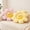 Pink Yellow Grid, variant on HonorHut 2 Pack Daisy Floor Seating Cushion 15.7Inch Soft Decorative Flower Shaped Couch Pillows Office Seat & Sofa Cushion Pink Yellow Grid
