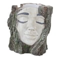 thumbnail image 3 of Maceta con forma de cara, contenedor de plantas, adorno artesanal, regalo, decoración del hogar, maceta práctica de resina para dormitorio, oficina,, 3 of 8