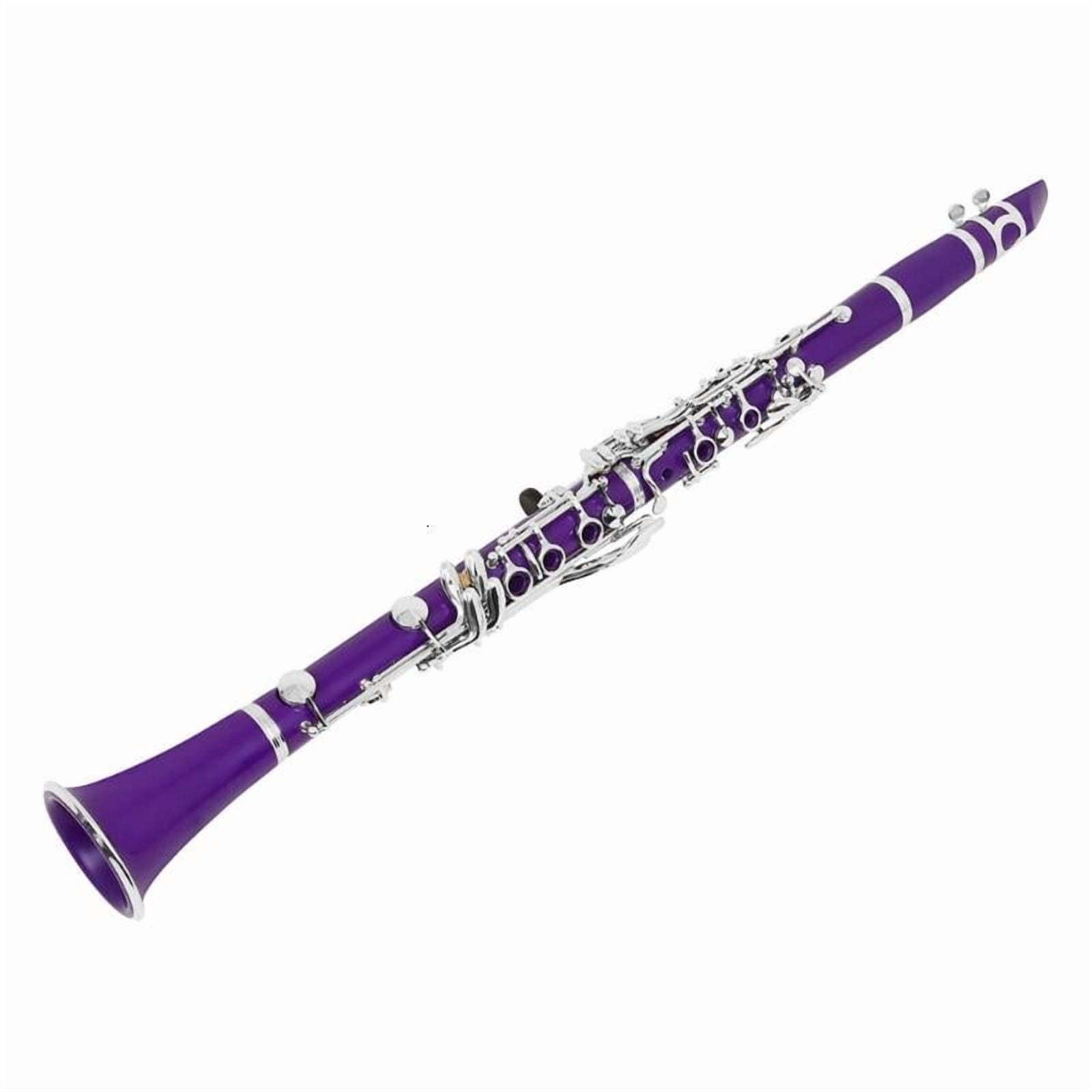 CEORPER 17 Keys Clarinet with Clarinet Carrying Case and Clarinet Maintaince Tool Set