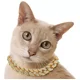thumbnail image 4 of Collar Cadena De Diamantes Brillantes Para Perrito Gato, 4 of 7