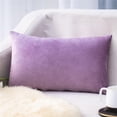 thumbnail image 1 of Panxico Pillow Cases,Velvet Pillow Covers,Super Soft Rectangular Velvet Pillowcase Solid Color Lumbar Pillow PillowcaseCouch Pillow Covers,,Clearance, 1 of 1