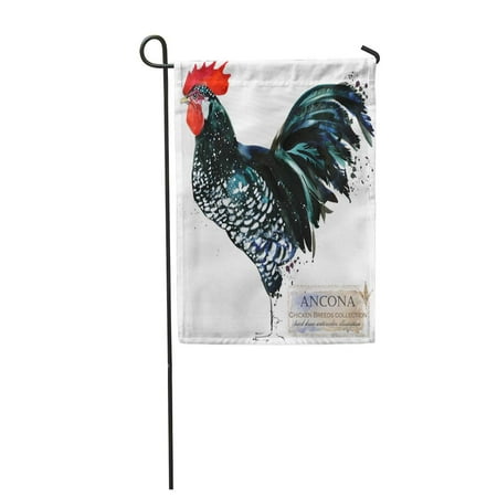 KDAGR Ancona Rooster Poultry Farming Chicken Breeds Series Domestic Farm Bird Garden Flag Decorative Flag House Banner 12x18