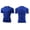 Blue, variant on Men's Workout T-Shirt, Moisture-Wicking Dry Fit Shirt for Running Training Fitness Activities, Breathable Athletic Gym Tee, Quick Dry Sports Performance Top Short Sleeve Bodybuilding