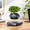 Black, variant on Marble Levitating Floating Plant Pot for Desk and Home Decor