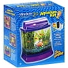 All-Glass Aquarium Mini Bow 2.5: Aquarium Kit Pets